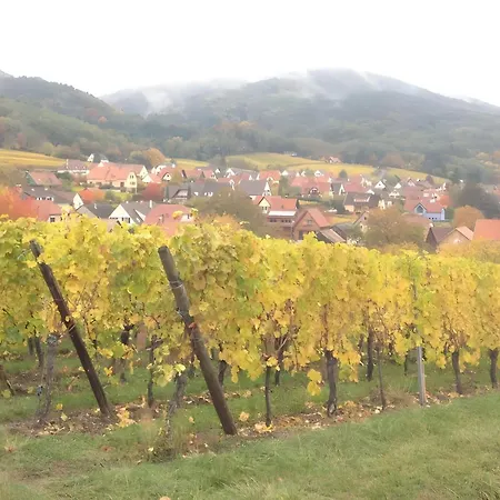Maison De Charme - Riquewihr