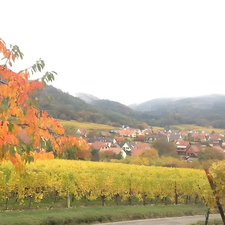 Maison De Charme - Villa Riquewihr